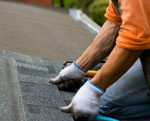 Best Slate Roofing Contractor  in New London, OH